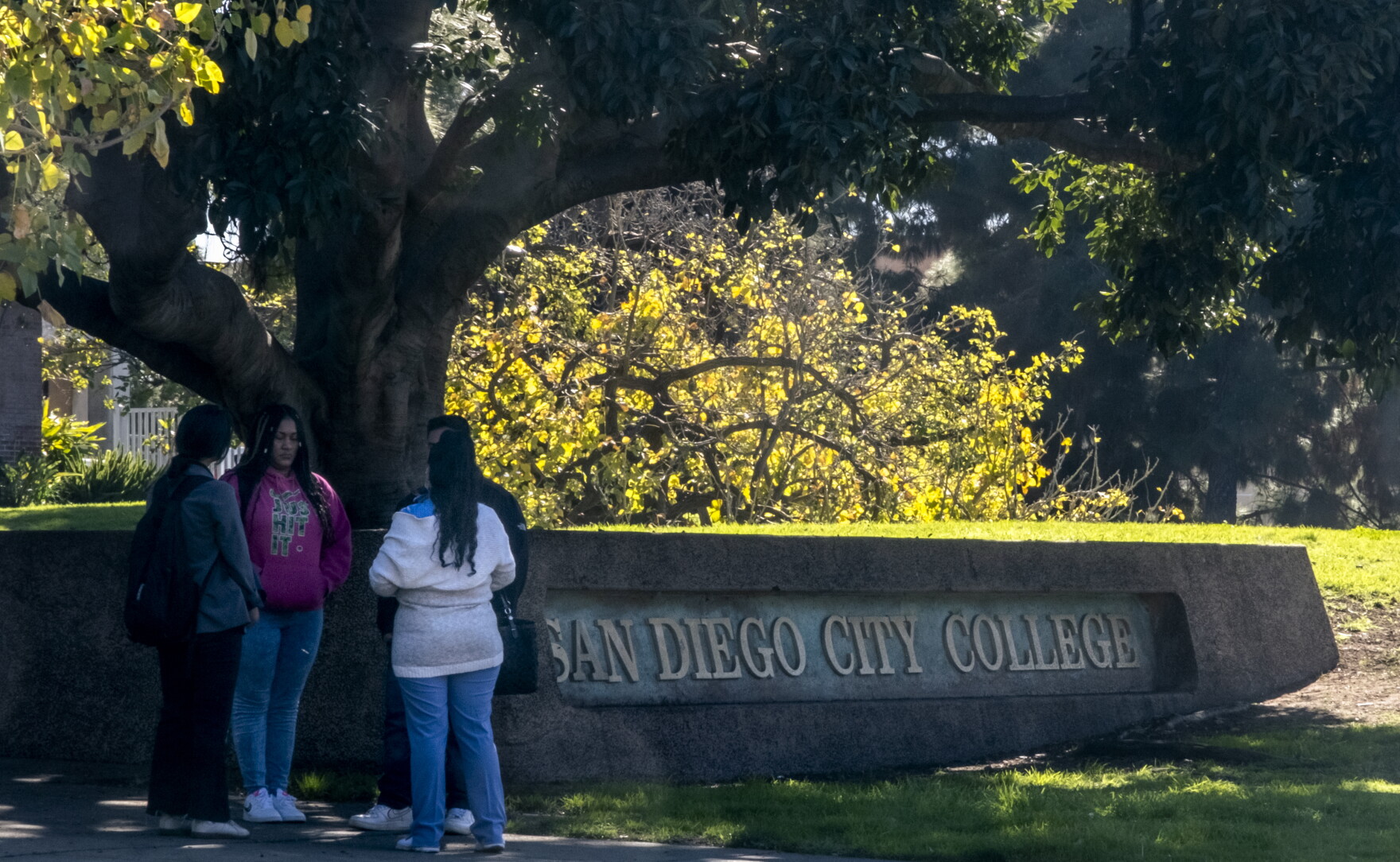 San Diego City College approved to offer a bachelor's degree KPBS