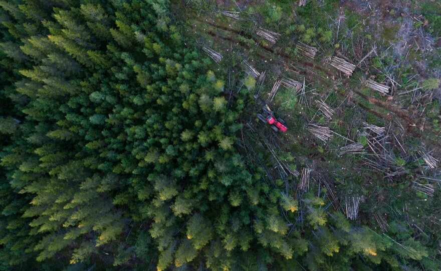 The modern environmental movement and the far-right movement might appear to be on opposing sides of the political ideology spectrum. But overlap does exist and researchers say it's growing.