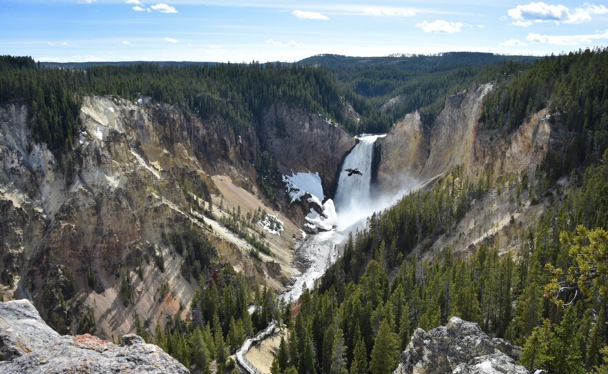 A view of the Lower Falls at the Grand Canyon of the Yellowstone National Park on May 11, 2016.