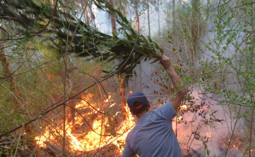 A group of young volunteers from the nearby city of Lirquen, fight a fire in Concepcion, Chile.