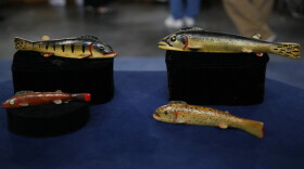 In Grand Rapids, Michigan, ANTIQUES ROADSHOW caught this school of wooden fish decoys, bought by the owner's father from renowned Michigan master carver Oscar Peterson. Peterson decoys are among the most coveted of American folk art objects; appraiser Ken Farmer values this collection at $14,000.