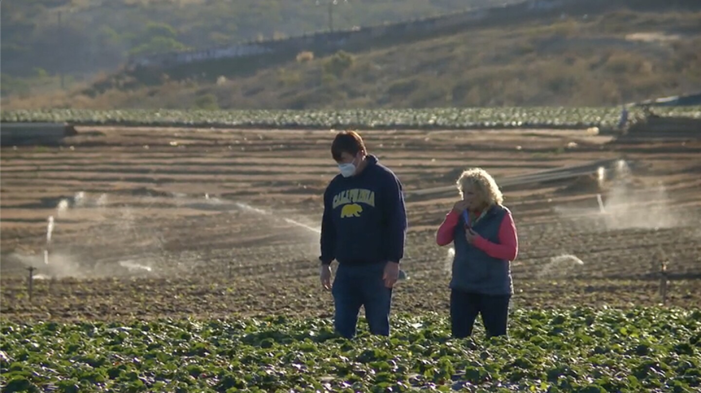 Host Nan Sterman (right) and J Ukegawa in field at Carlsbad Strawberry Company, Calif.