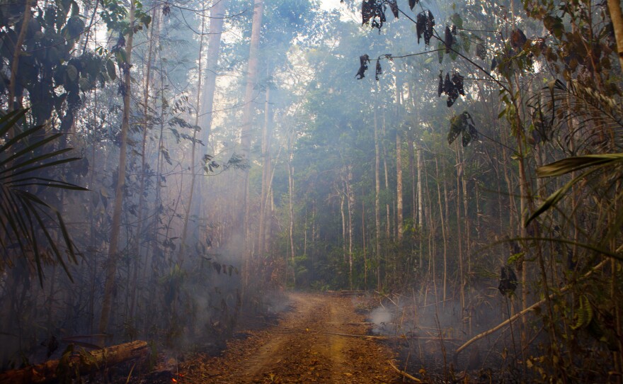 In the western state of Rondonia, a patch of the forest burns near a small farm.