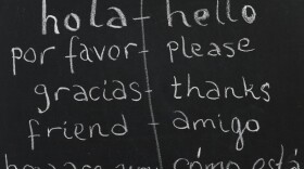 When it comes to the basics, translation is relatively straightforward. But David Bellos argues that translating sentences, not to mention books, is inherently complex. 