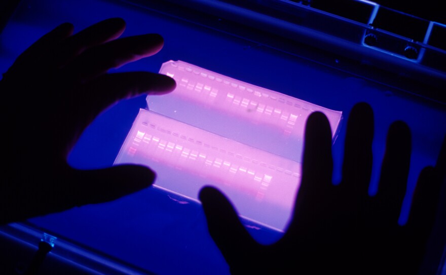The new report from leading U.S. scientists shines a spotlight on how the research enterprise as a whole creates incentives that can be detrimental to good research.