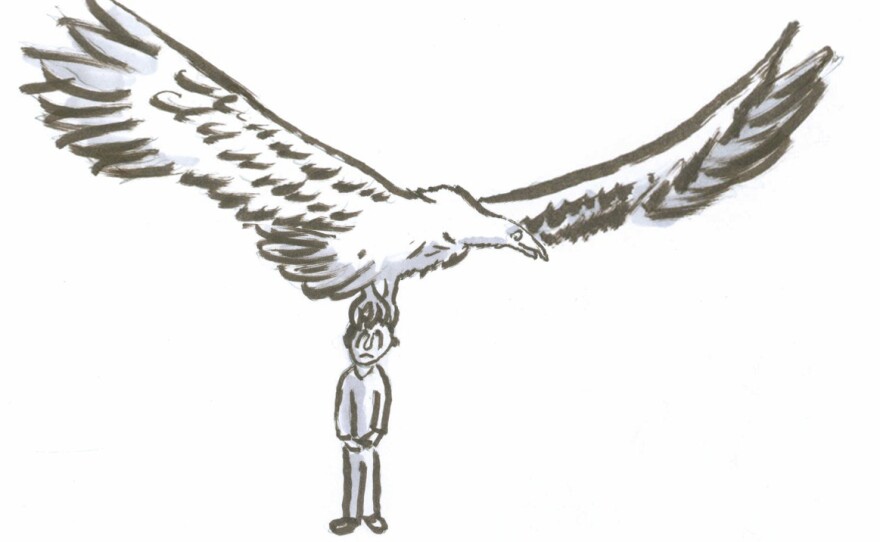 Argentavis magnificens vs. a human in comparison