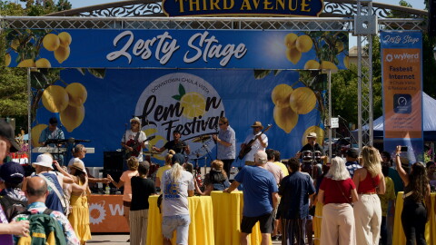 29th Annual Lemon Festival
