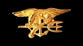 Navy SEAL insignia 