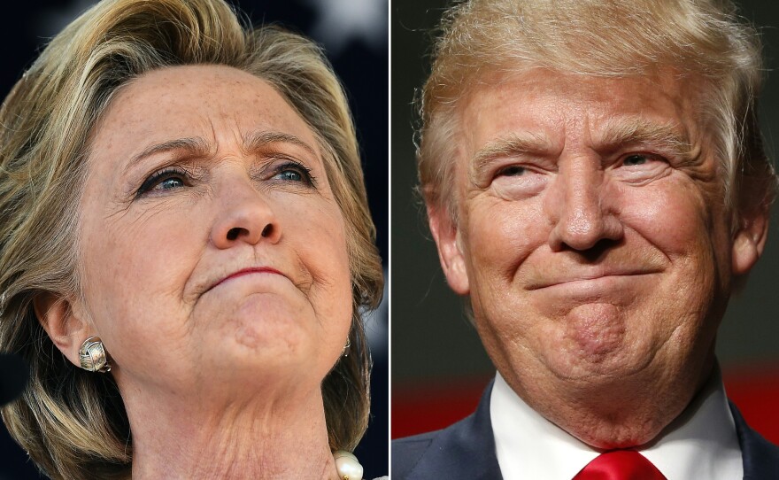 Democratic presidential nominee Hillary Clinton in Dade City, Fla., Nov. 1, and Republican nominee Donald Trump in Warren, Mich., Oct. 31, 2016.