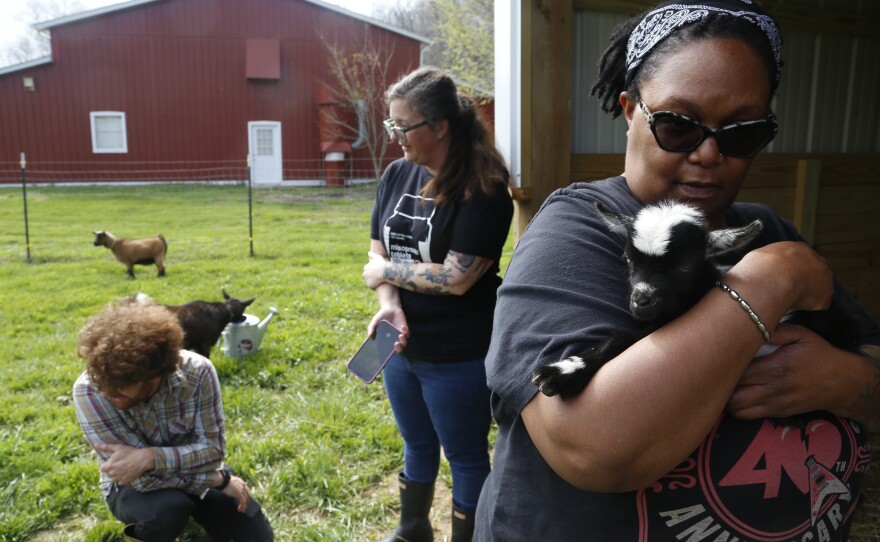Pamela Merritt, right, holds a baby goat, accompanied by Alison Dreith and Jake McDaniel at the couple's farm in southern Illinois on Tuesday, April 12, 2022.