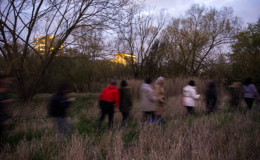 Participants join a guided tour of a new beaver habitat in the Paradise Fields nature reserve. The new reserve acts like a 20-acre sponge in the center of the British capital, helping to absorb heavy rainfall. Climate change is making rainfall more intense and erratic across Britain.