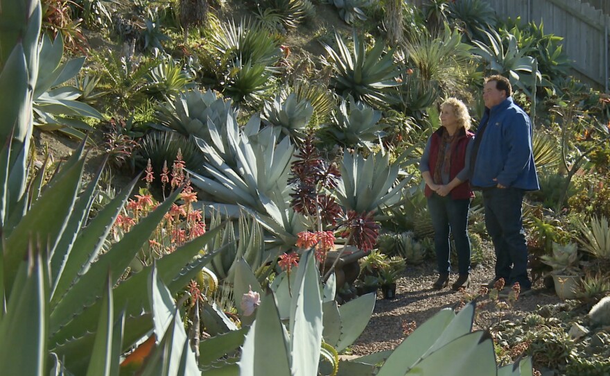 Host and garden expert Nan Sterman takes a tour of renowned plant explorer and succulent breeder Kelly Griffin's garden. 