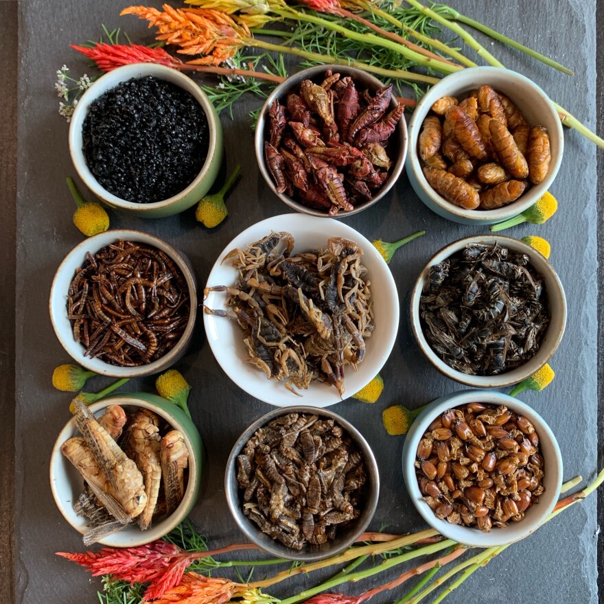 Some of the insect ingredients Brroklyn Bugs' chef Joseph Yoon will be tapping into for Friday's Bug Banquet at SDSU. Undated photo.