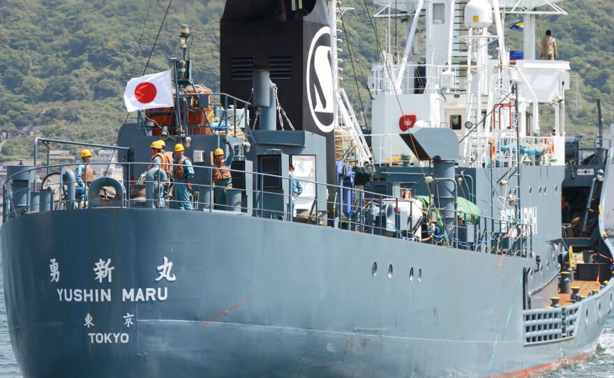 The Japanese whaling ship Yushin Maru leaves Shimonoseki port in Yamaguchi Prefecture, southwestern Japan, last month. Japan's prime minister says he wants to expand whaling operations after they were temporarily scaled back.