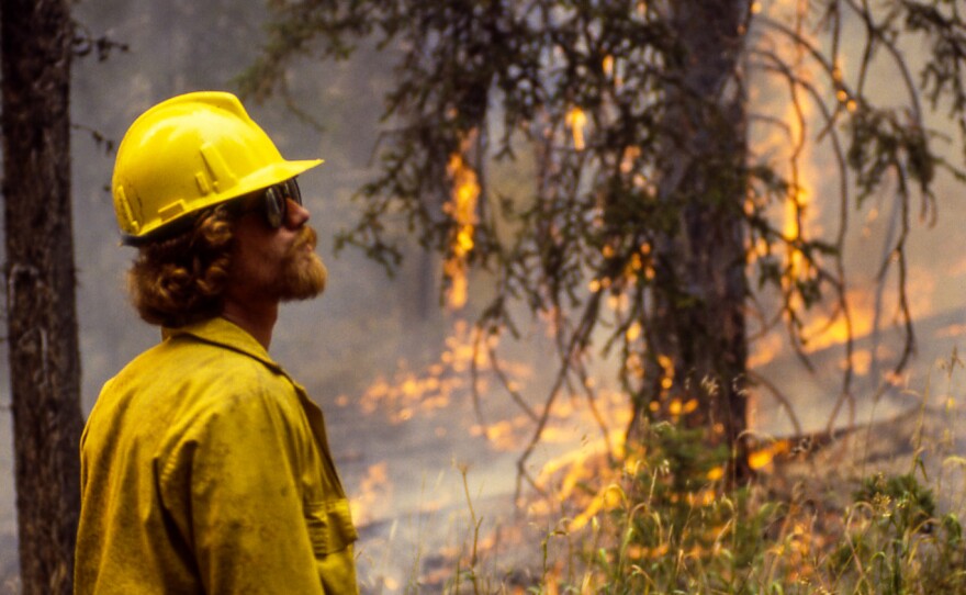 A firefighter watches the flames in Yellowstone National Park during the 1988 fires in this undated photo. 