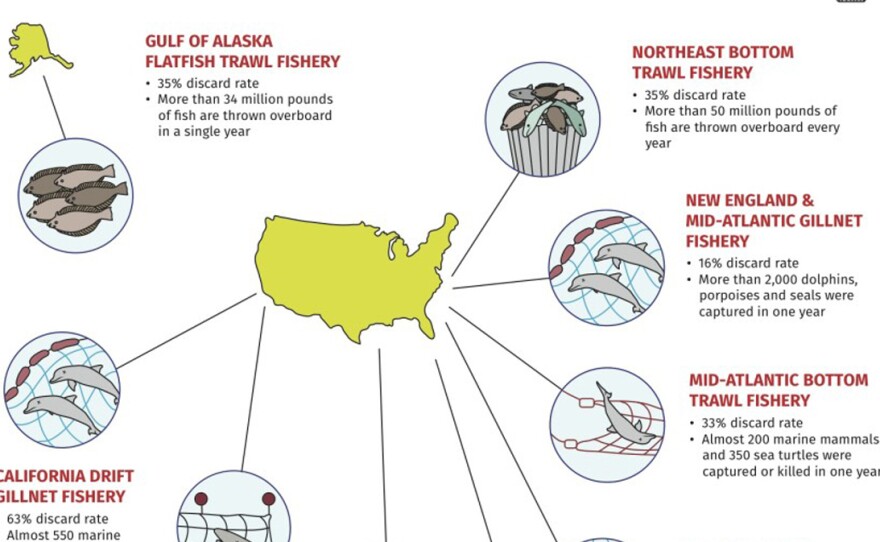Nine fisheries account for more than half of the reported U.S. bycatch.
