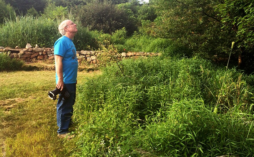 On “Bringing Nature Home," Doug Tallamy explains that in too many places of our country, there is no place left for wildlife, but in the landscapes and gardens we ourselves create.