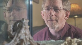 Marine biologist Dr. David Scheel observing the octopus in his home in Anchorage, Alaska.