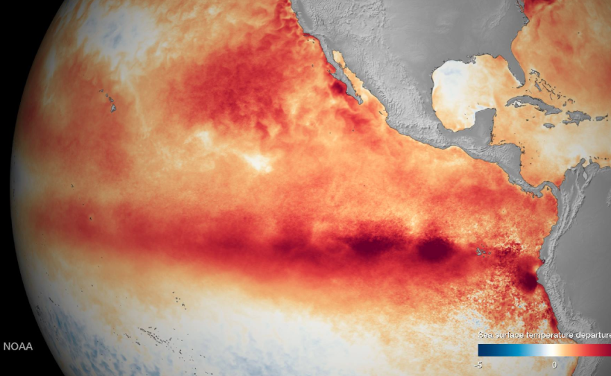 The developing El Niño is on track to become one of the most powerful on record, with water temperatures in the equatorial Pacific Ocean nearly 6 degrees Fahrenheit above average.