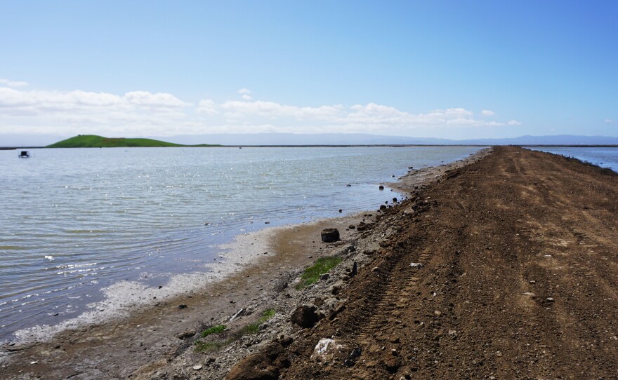 Newly deposited dirt sits on top of a levee at the Eden Landing Ecological Reserve that protects the eastern edge of San Francisco Bay.