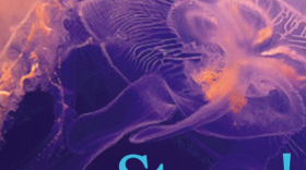 Jelly fish researcher, Dr. Lisa-ann Gershwin's, new book, "Stung! - On Jellyfish Blooms and the Future of the Ocean," explores the connection between a warming planet, the proliferation of jellyfish and state of the world's oceans. 