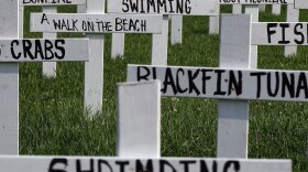 A memorial of crosses built by Patrick Shay and his neighbors in Grand Isle, La., reflects the many things they feel they've lost because of the Gulf of Mexico oil spill.