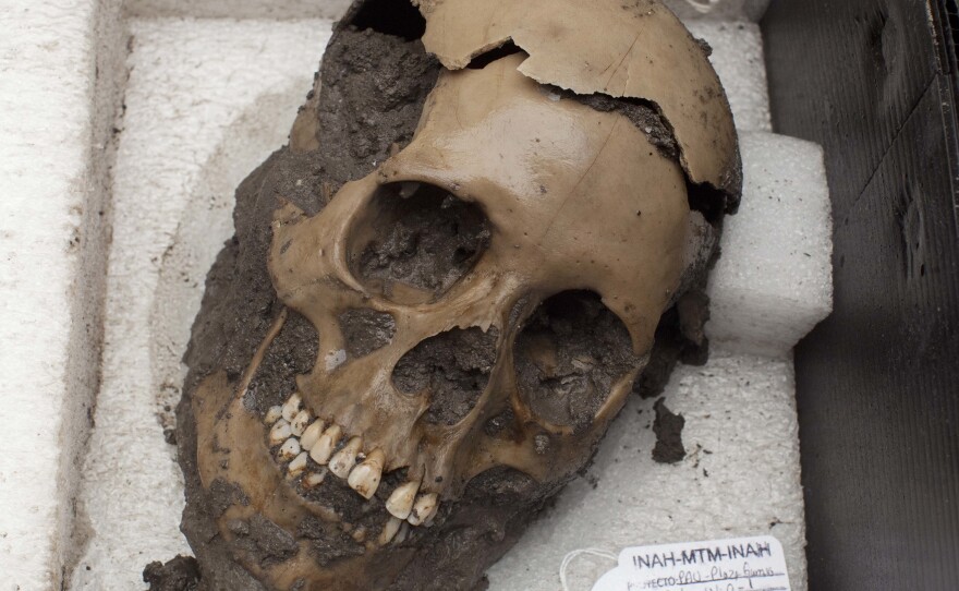 A skull discovered at a sacred Aztec temple. A new study analyzed DNA extracted from the teeth of people who died in a 16th century epidemic that destroyed the Aztec empire, and found a type of salmonella may have caused the epidemic.