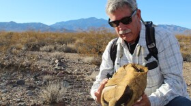 U.S. Geological Survey ecologist Todd Esque holds a tortoise shell in the Mojave Desert, south of Las Vegas, in this undated photo. 