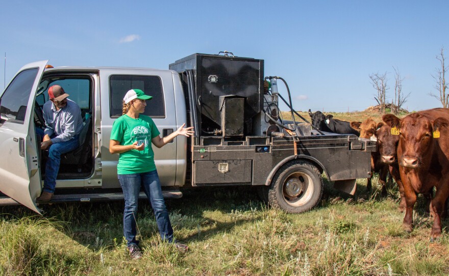 Benji and Lori White check on a small herd of Red Angus at their ranch, B&L Red Angus, near Putnam, Okla.