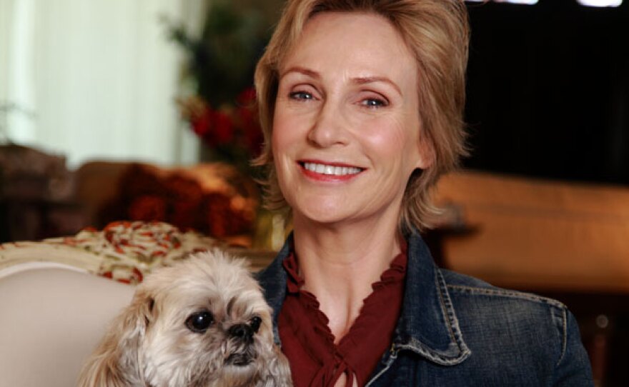 SHELTER ME Let's Go Home KPBS Public Media