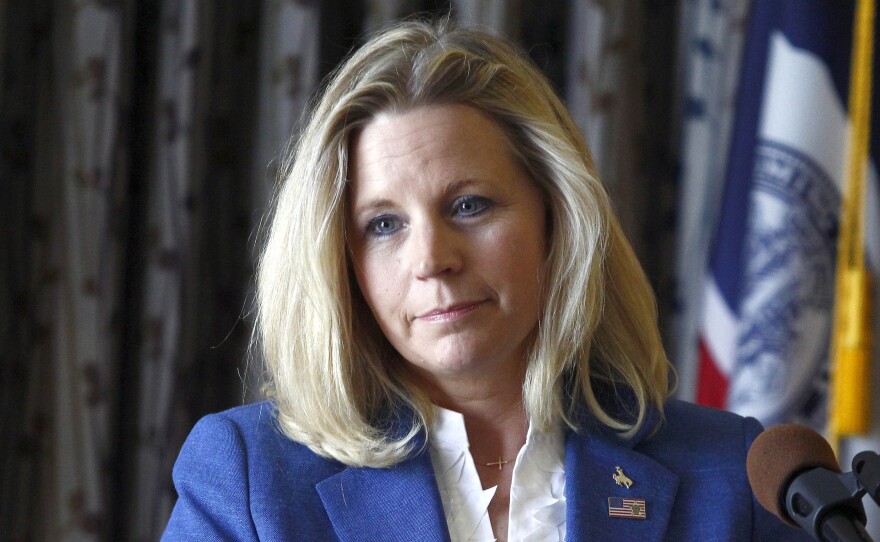 Liz Cheney campaigns in Casper, Wyo., on July 17, one day after announcing her GOP primary challenge to Sen. Mike Enzi.