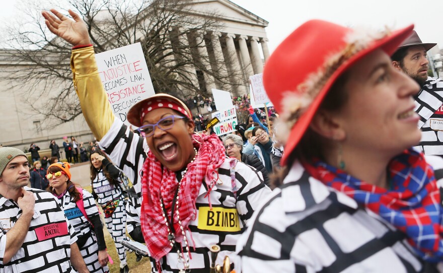 Protesters attend the Women's March on Washington in D.C.