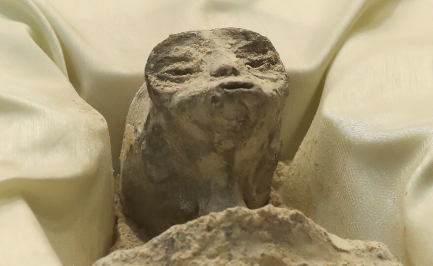 Remains of an allegedly "nonhuman" being were displayed during <a href="https://www.npr.org/2023/09/13/1199251336/mexico-alien-corpses-congress">the briefing on unidentified flying objects</a> at the San Lazaro legislative palace in Mexico City on Sept. 12.