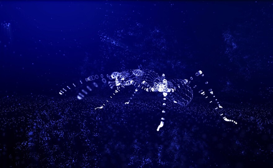 Digital ant