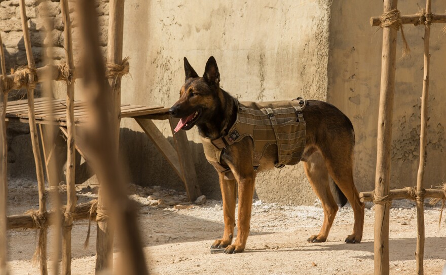 Max is directed by Boaz Yakin and is rated PG.