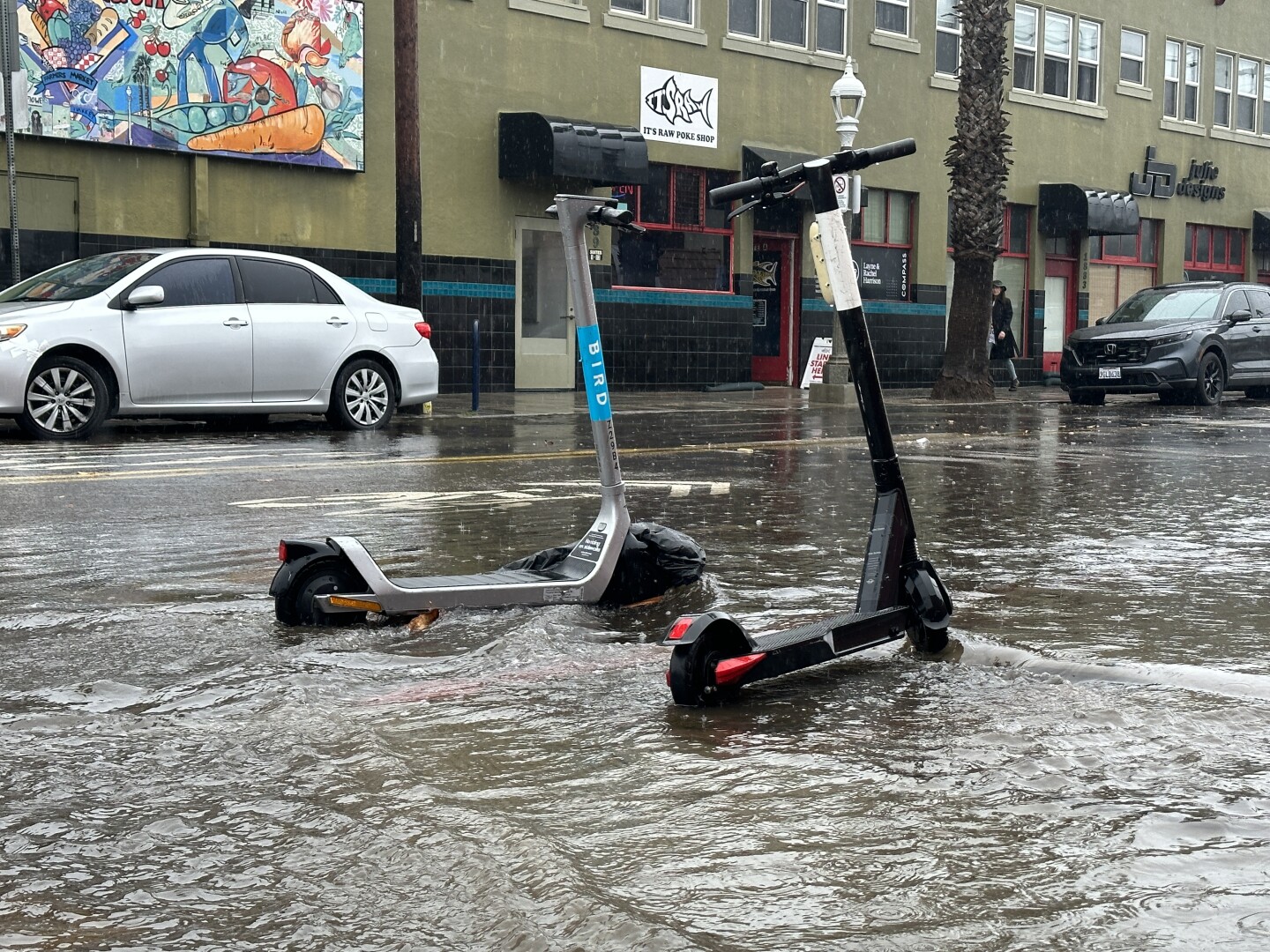Two Bird electric scooters on a slightly flooded street in Ocean Beach, Aug. 20, 2023.