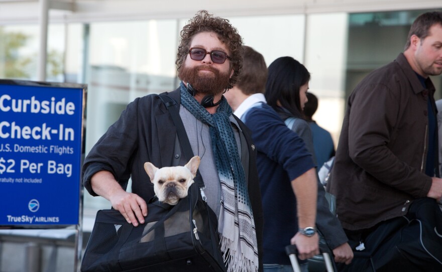 Are you tired of Zach Galifianakis' face yet?