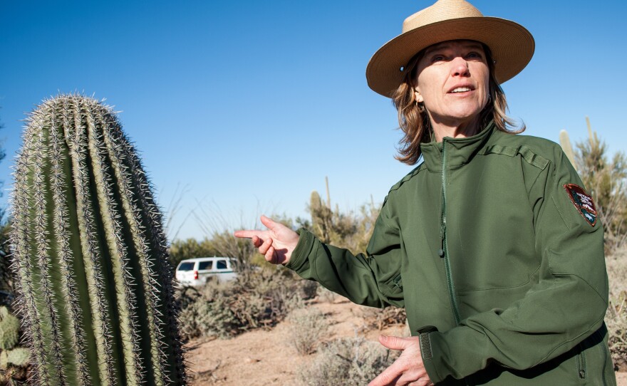 Darla Sidles has been superintendent at Saguaro National Park since 2009. Before, she worked at Independence National Historical Park in Philadelphia, where she says the demographics of the visitors and workforce were far more diverse. She's hoping to mimic that at Saguaro.