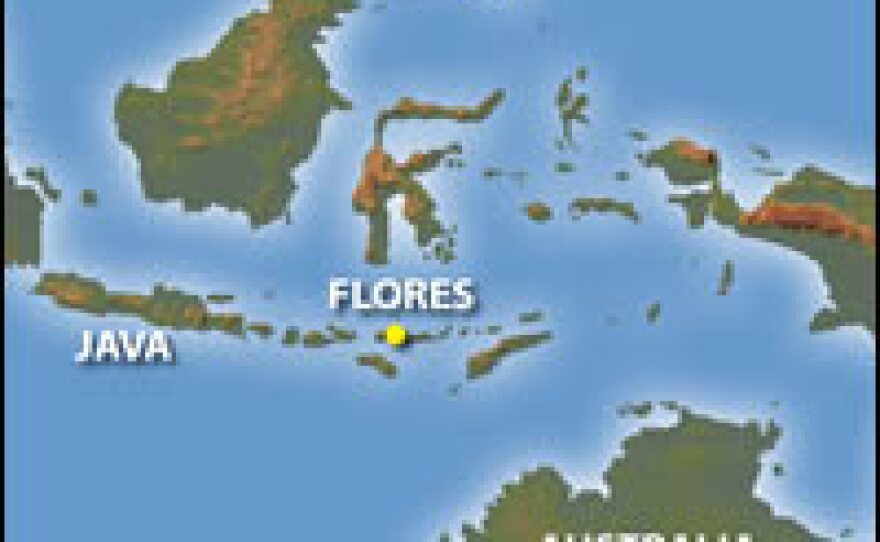The near-complete skeleton of <I>H. floresiensis</I> was found in Liang Bua, a large limestone cave on the Indonesian island of Flores.