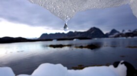 An iceberg melts in Kulusuk, Greenland, near the Arctic Circle in this 2005 photo. Skepticism over global warming has been growing, and according to a recent Harris Poll, barely half of the American public believes that the carbon dioxide building up in the atmosphere could warm our planet.