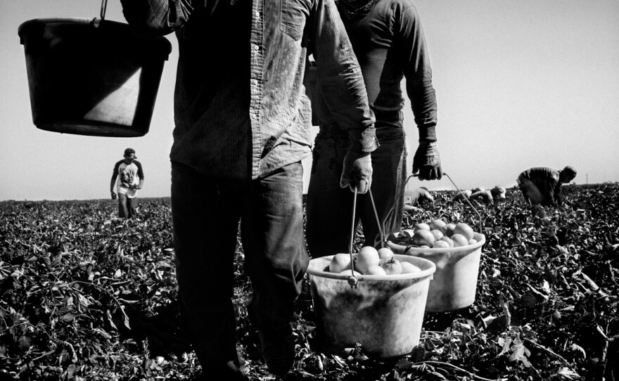 drought-002_custom-36dffe2fbe8f342a272fb86db0309a6c04688fb0.jpg