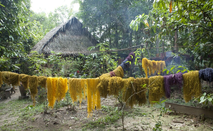 Fibers from the fique plant, dyed with natural pigments by artist Susana Mejia, are part of the Waterweavers exhibit. In the photo above, the fibers hang to dry in the Amazon jungle.