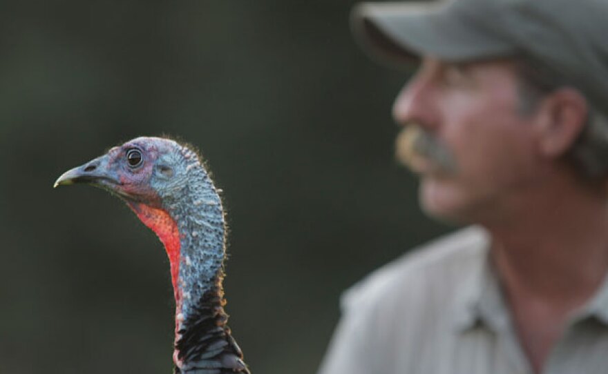 Turkey and "father" Jeff Palmer.