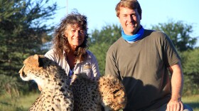 Pictured (L-R): Dr. Laurie Marker, founder of the Cheetah Conservation Fund (CCF) with host and explorer Richard Wiese. Explorer Richard Wiese travels to Namibia for an in-depth look at the most endangered cat in Africa—the cheetah in the one-hour special BORN TO EXPLORE: Namibia: Land Of The Cheetah.  