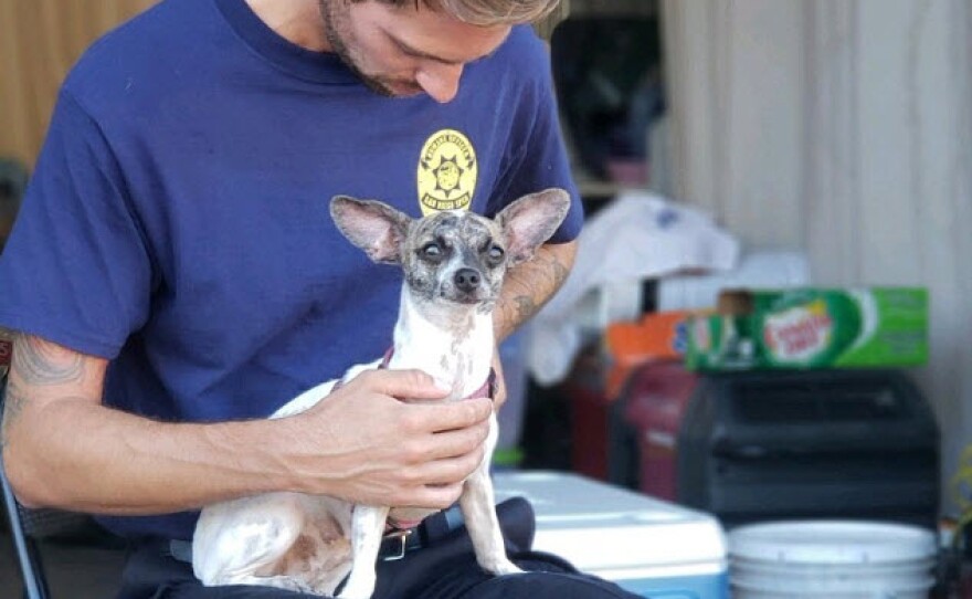 A member of the San Diego Humane Society’s Emergency Response Team rescues a dog in Horry County, South Carolina, Sept. 19, 2018.