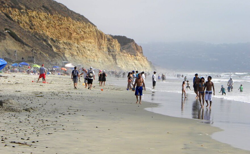 Torrey Pines State Beach in San Diego