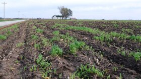 This field is part of a 160-acre tract in Saline County, Mo., that sold for $10,700 per acre in February — double what it would have gone for five years ago.