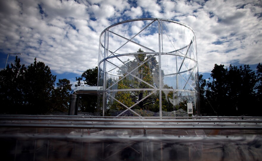 A tree stands surrounded by a chamber that keeps the temperature about 7 degrees warmer than the outside air. Scientists say the cycle of heat and drought in the region has intensified because of a warming climate.
