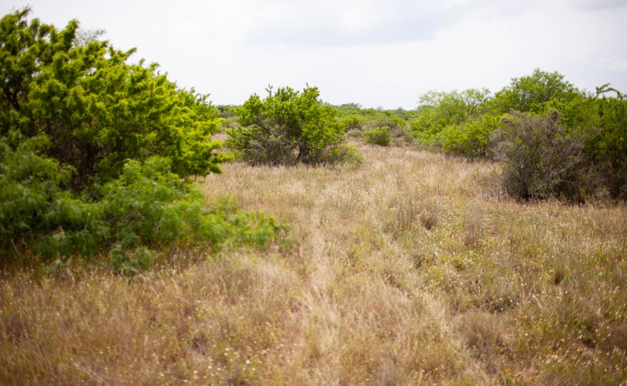 About 70 miles north of the border, coyotes and their migrant clients walk through these vast cattle ranches for days to avoid a busy Border Patrol checkpoint.