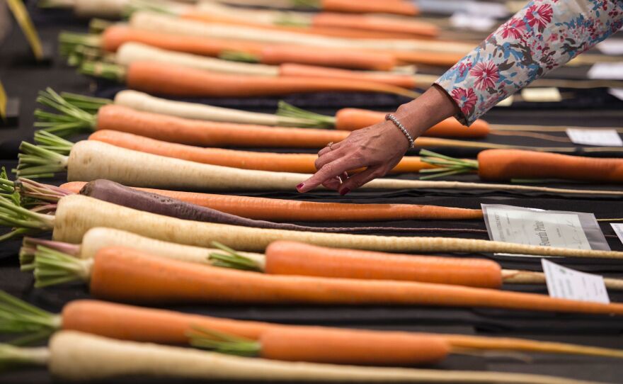 Go ahead and serve your dinner guests carrots, but just don't call them carrots.